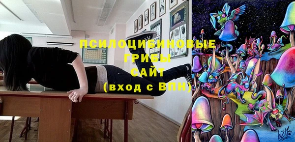 mdma Богородицк