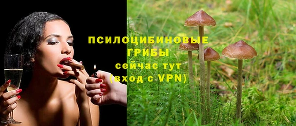 ECSTASY Бородино
